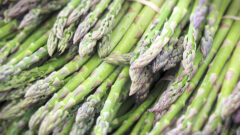 Asparagus
