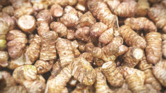 Jerusalem Artichoke per lb