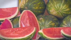 Melon - Watermelon - Quarter