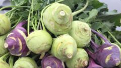 Kohlrabi